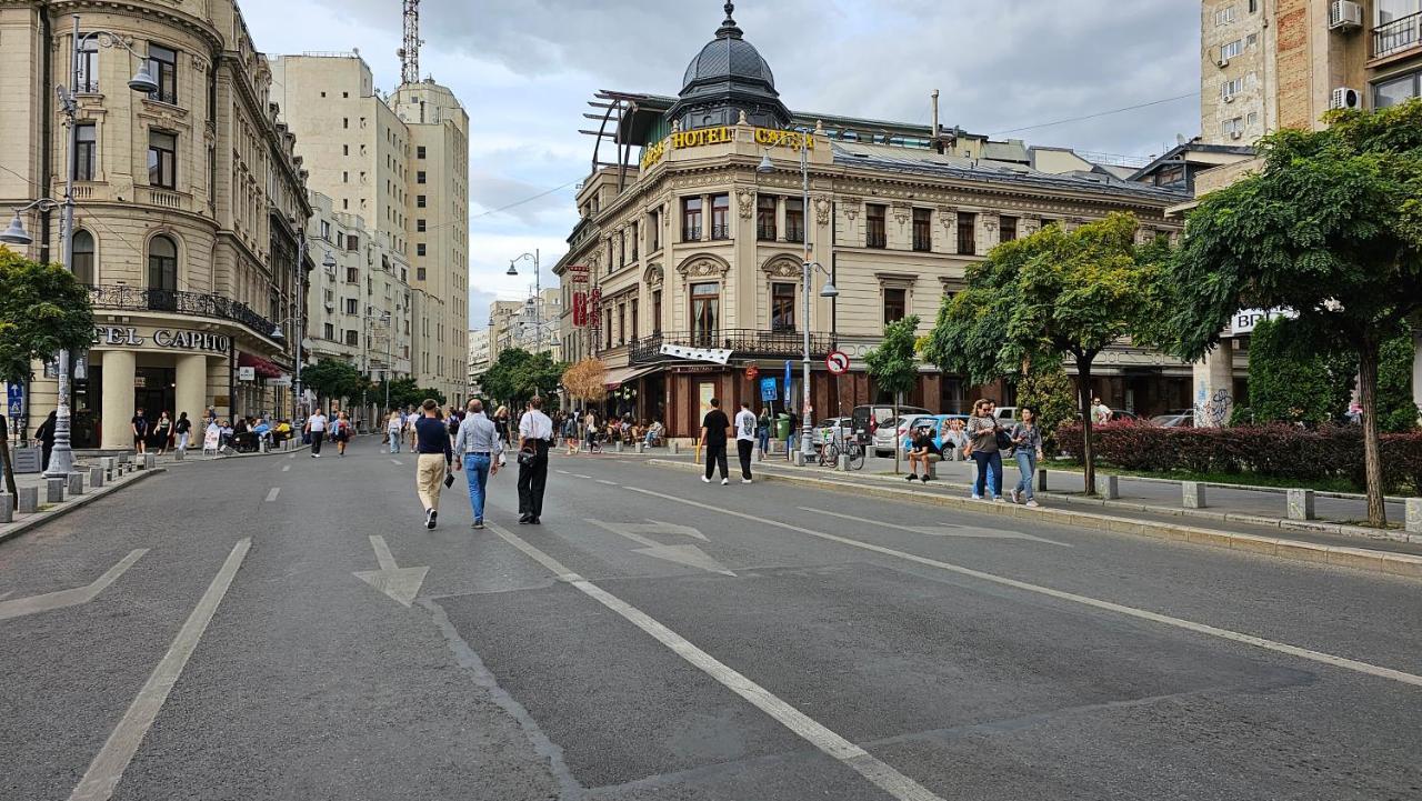 Like Victoriei Apartment